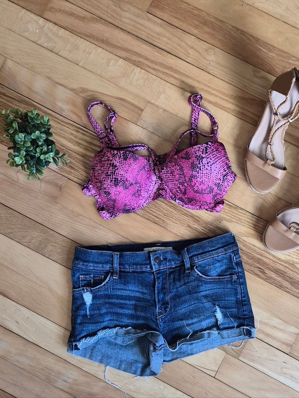 Asos Swim Pink Snake Print Padded Bikini Top